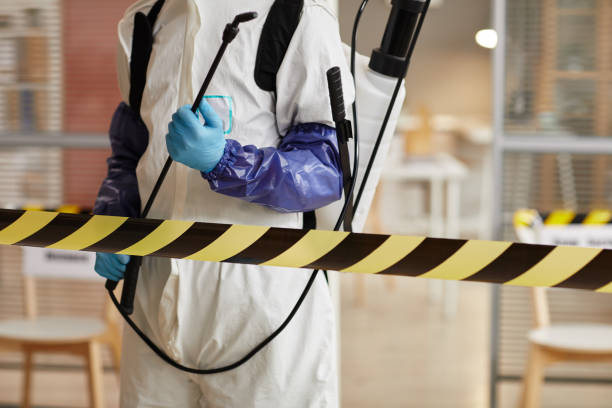 Professional Sewage Cleanup technician working in Bonduel, WI